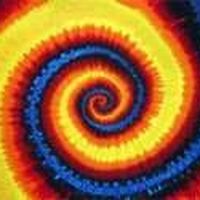 Dushan Stojchev的照片