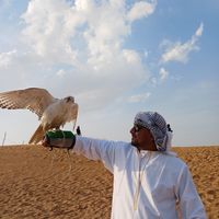 Sheikh Mamun's Photo