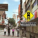 Blumenau Walking Tour的照片