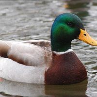 zanuda zanuda's Photo