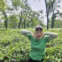 Ekaterina Koleva's Photo