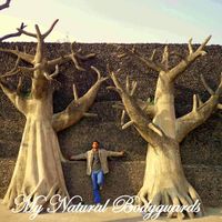 Vinay Kumar的照片