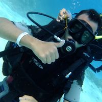 Ahmed Gaber的照片