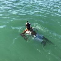 Kwame Seymoyr's Photo