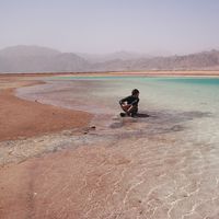 Sebastian Weinstein Cook的照片