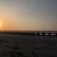 Farheen Siddiqui's Photo