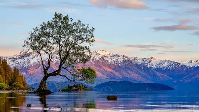 Trip Queenstown To Christchurch Queenstown Otago Region New