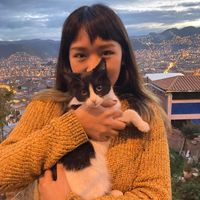 Angela Tanabe的照片