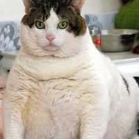 Anne Marie Moore的照片