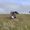 Mohammed H's Photo