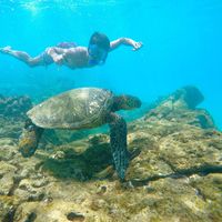 Agustin Dorrego的照片