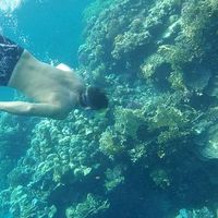 Fotos von Sin_Prisa_Y_Sin_Pausa