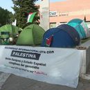 Student camping for Palestine 🇵🇸's picture