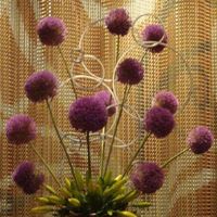 Carol Berg's Photo