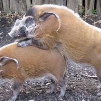 Jojo Calamar's Photo