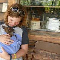 Noam Reisner的照片