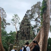 Kim  Phearum tuk tuk service's Photo