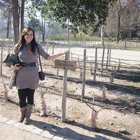 Natália Saldanha's Photo