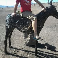 pablo Arias的照片