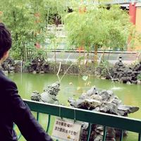 tomoya seino的照片