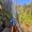 Marco Ponce's Photo