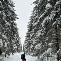 Miel Vansteelandt的照片