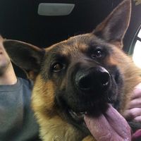 Vildan Khabibullin的照片