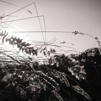 Юрий Грузинов's Photo