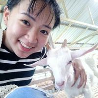 tzeying chew的照片