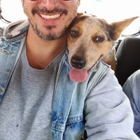 Steve Salas的照片