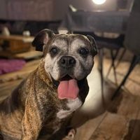 Baptiste Vuegen's Photo