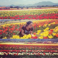 Andrea Oshiro's Photo