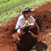 Photos de Tatsuaki Ino