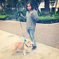 Alex Cisneros的照片