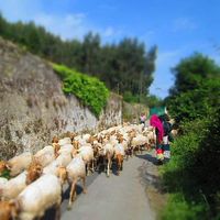 Weronika Wosińska's Photo