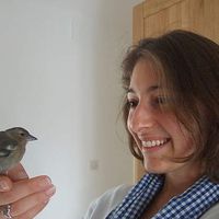 Fotos de Virginie Silva