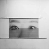 Cynthia Wang的照片