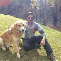 Deepak Gothwal的照片