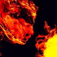 Ali Zarasvand的照片