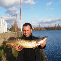 Trabelsi Ziad's Photo