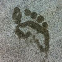 Zdjęcia użytkownika Wade Hought