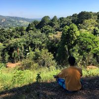 Thalles Mauricio的照片