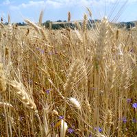 Fotos de Karine Gobin