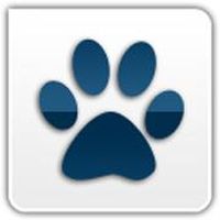 Alexander Lapov's Photo