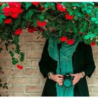 Bahar Khanom的照片