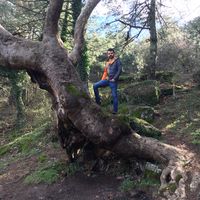 Emre KORKMAZ's Photo