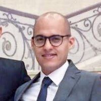 Ayman Elmasry的照片