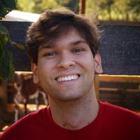 Nikolas Vieira's Photo