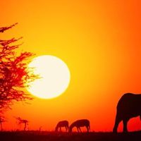 Yukako Ogawa's Photo