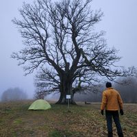 Süleyman Demirkeser's Photo